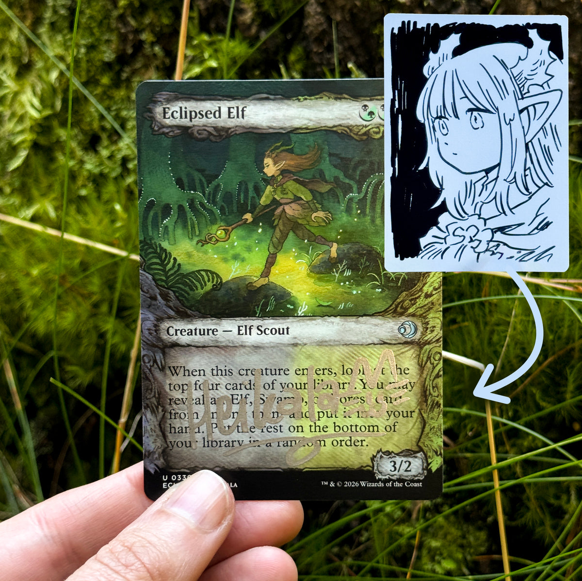 mtg elf draw cards MTG: Eclipsed Artist Proof – Heikala Shop Printing:SOK 158 throne of glass The Very First MTG