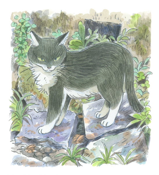All of the Cats My Dad Saw - Zine