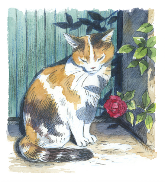 All of the Cats My Dad Saw - Zine
