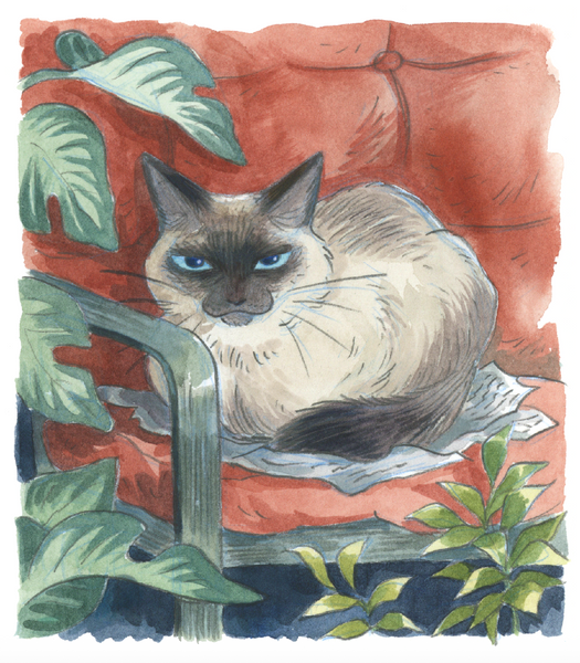All of the Cats My Dad Saw - Zine